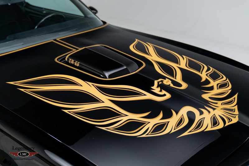 Photo 11 of 1977 Pontiac Trans Am “Bandit” SE