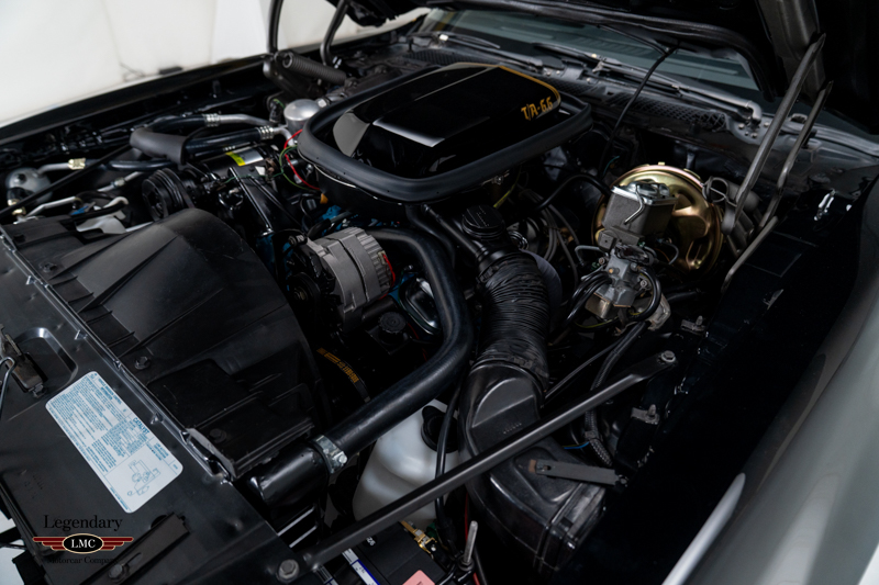 Photo 35 of 1977 Pontiac Trans Am “Bandit” SE