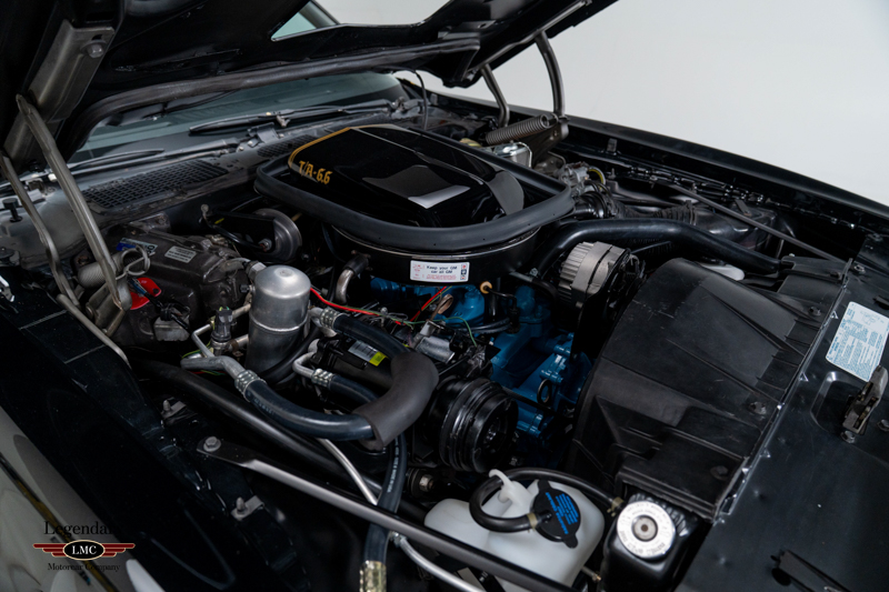 Photo 37 of 1977 Pontiac Trans Am “Bandit” SE