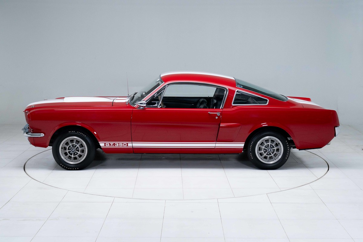 1966 Shelby GT350 
